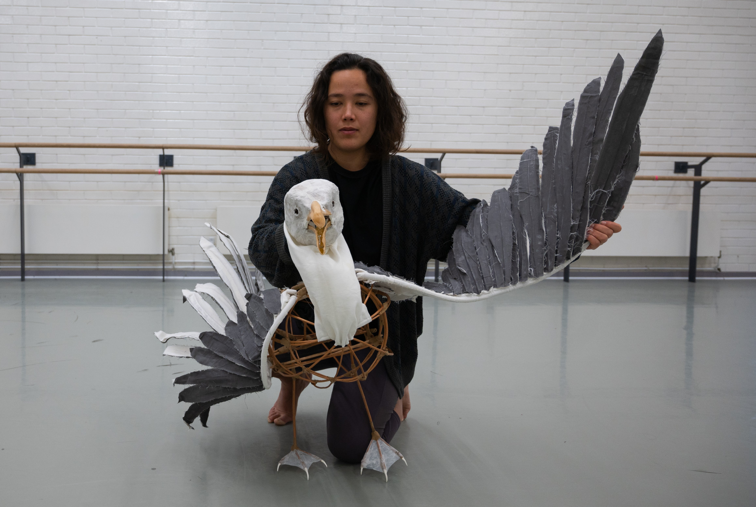 Seagull.webp
